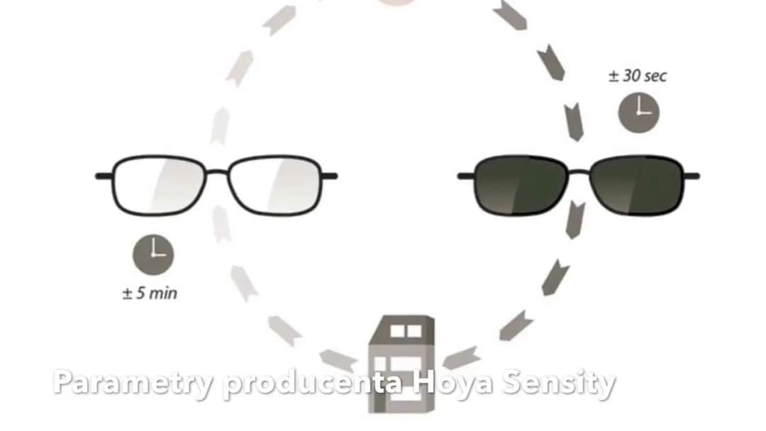 Soczewki Szajna czy Hoya - szczegółowe porównanie parametrów i opinii