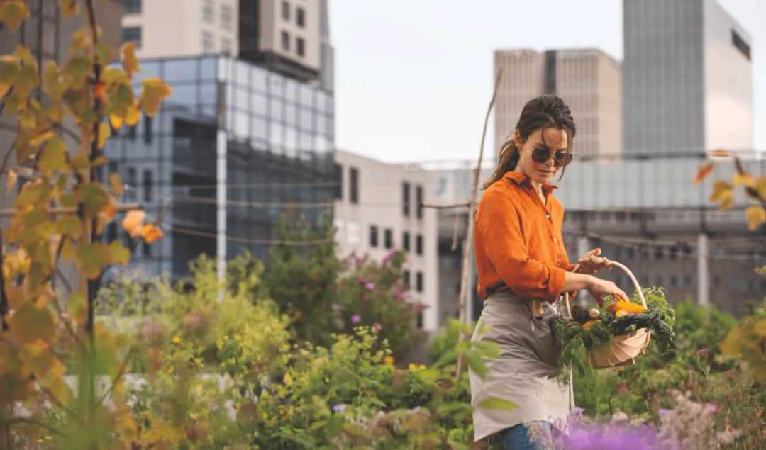 Co to znaczy polaryzacja w okularach i jak poprawia widzenie