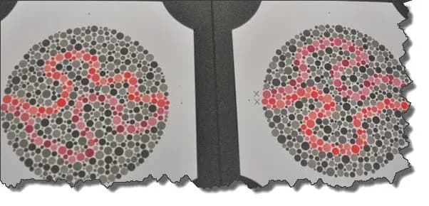 Zawody, których nie może wykonywać daltonista – uniknij problemów zawodowych