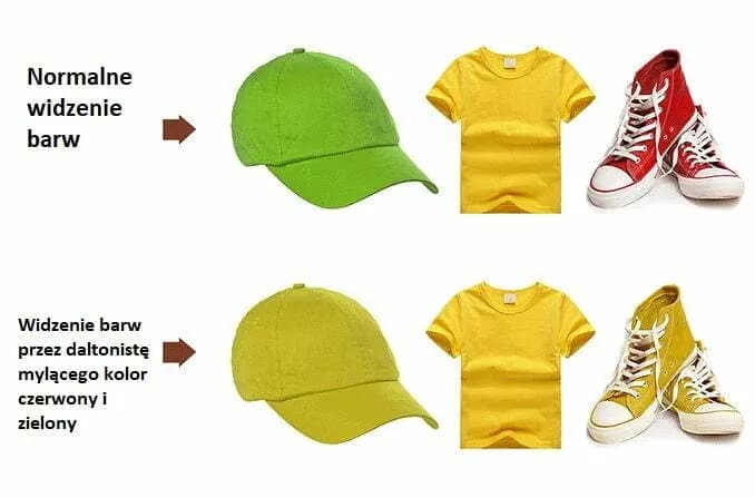 Czy daltonizm można wyleczyć? Fakty i mity o ślepocie barw