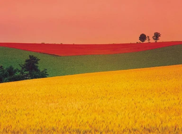 Czy daltonizm można korygować specjalnymi barwnymi szkłami?